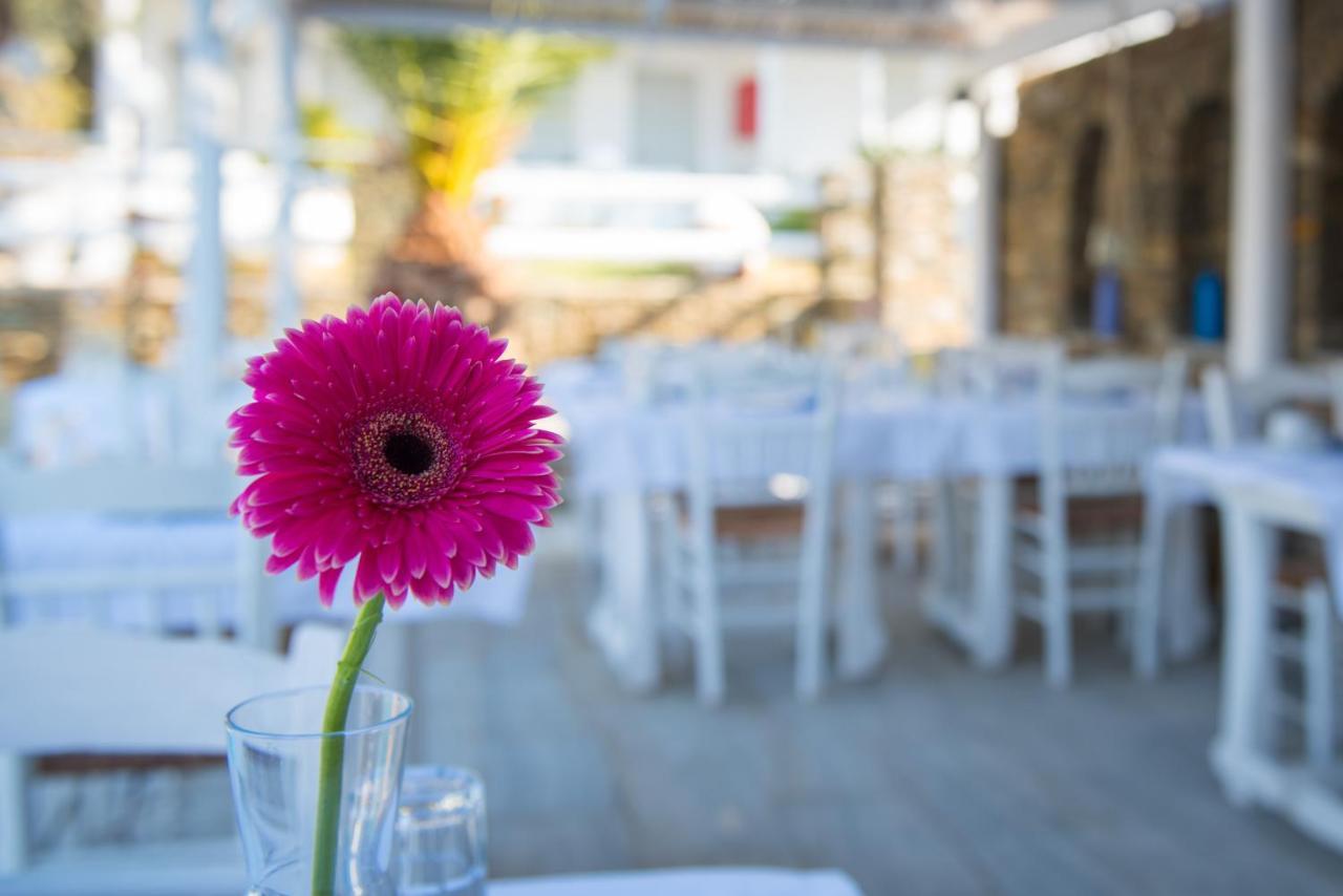 Villa Irini Platis Gialos  Εξωτερικό φωτογραφία