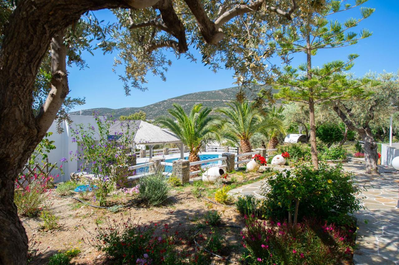 Villa Irini Platis Gialos  Εξωτερικό φωτογραφία